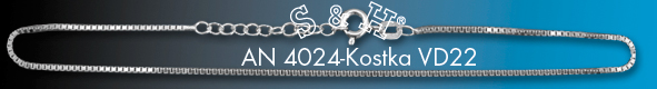 AN 4024-Kostka VD22