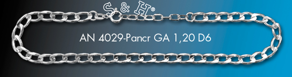 AN 4029-Pancr GA 1,20 D6