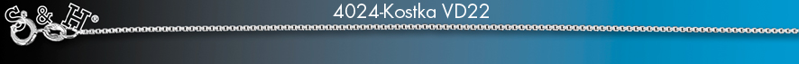 4198-Kostka VD19